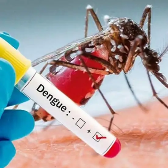 dengue fever igg antibody, enzyme immunoassay (eia) test